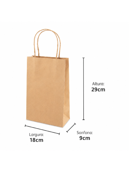 Sacola Papel Kraft Pp 29X18X9Cm Ref.sd21 Nafi - Pacote C/10 Un