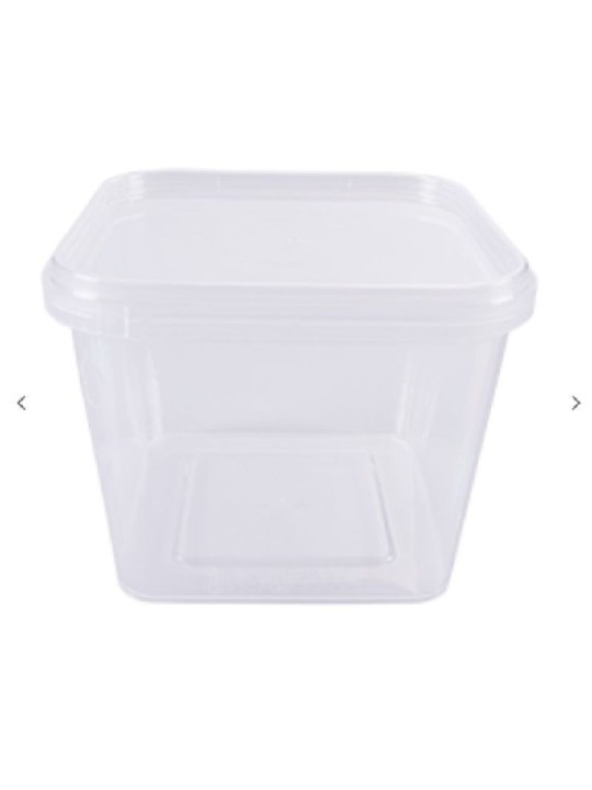 Pote Quadrado C/Lacre 250Ml C/Tampa 63X78,4X78,4Cm C/135 Un Granel Prafesta - Pacote C/135